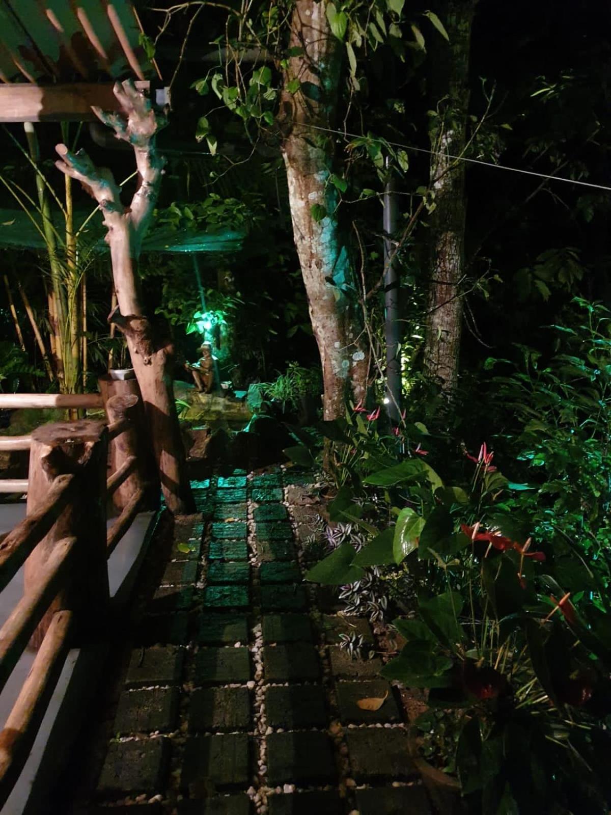 Treetops Ella Exterior foto