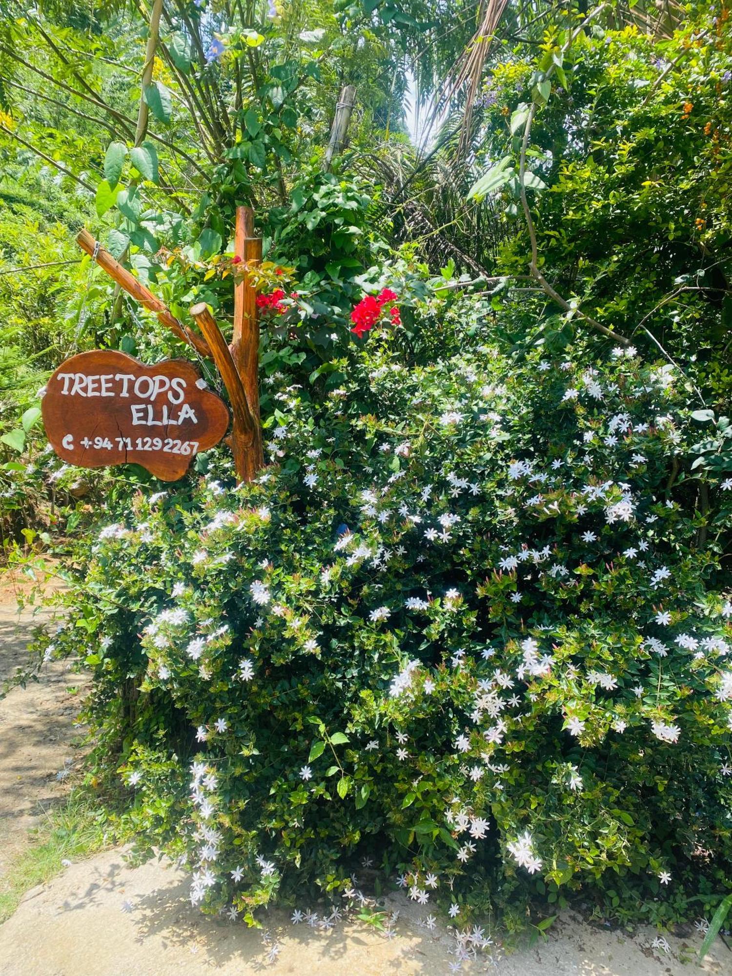 Treetops Ella Exterior foto
