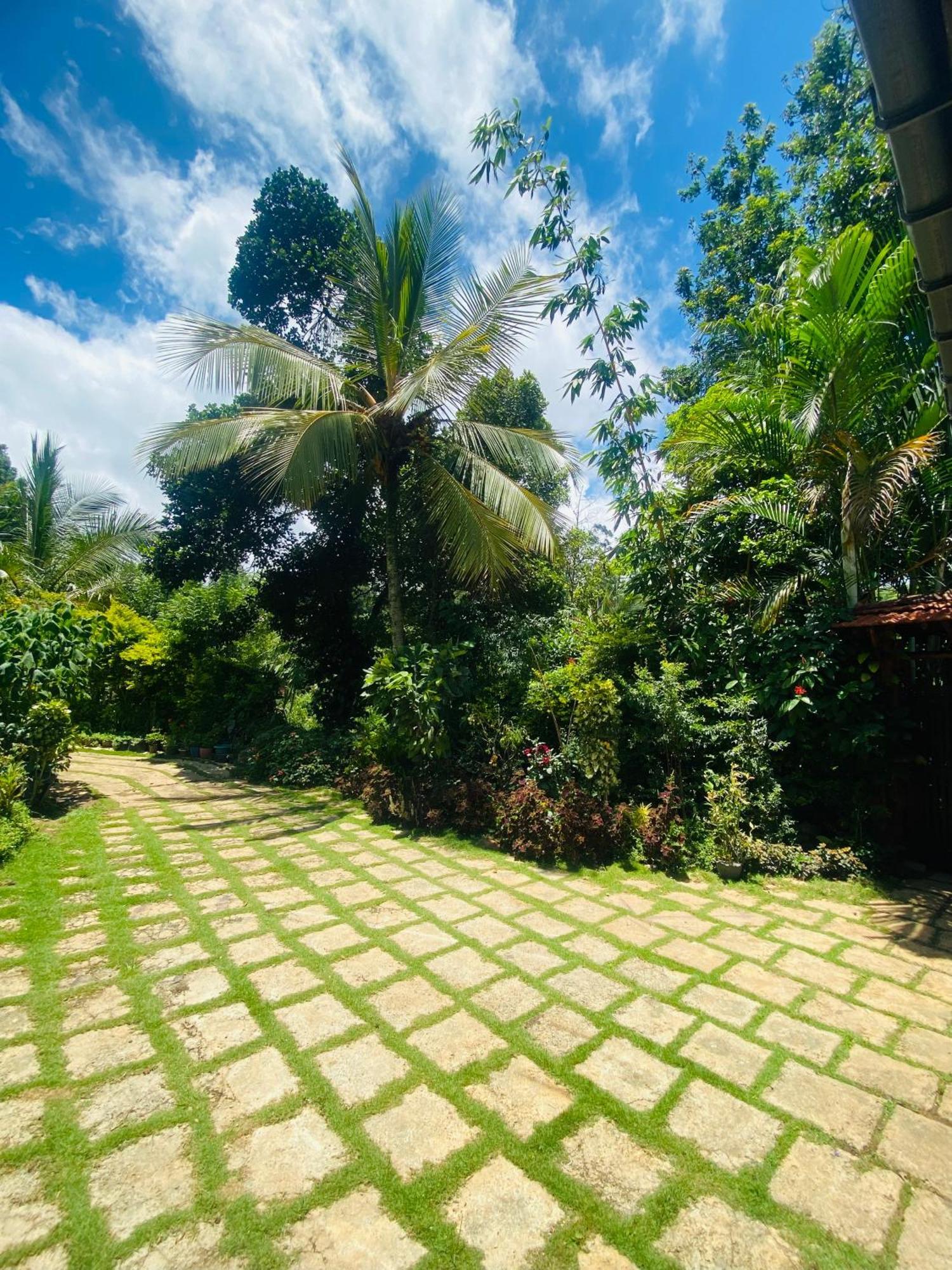 Treetops Ella Exterior foto